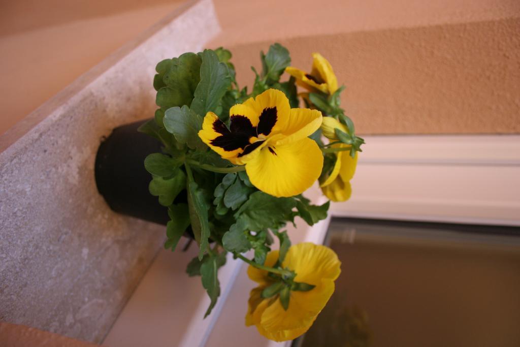 Note Sulla Piazza Bed and Breakfast Cagliari Buitenkant foto